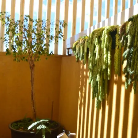 Privat bolig Fano's House - En Vivienda Particular *