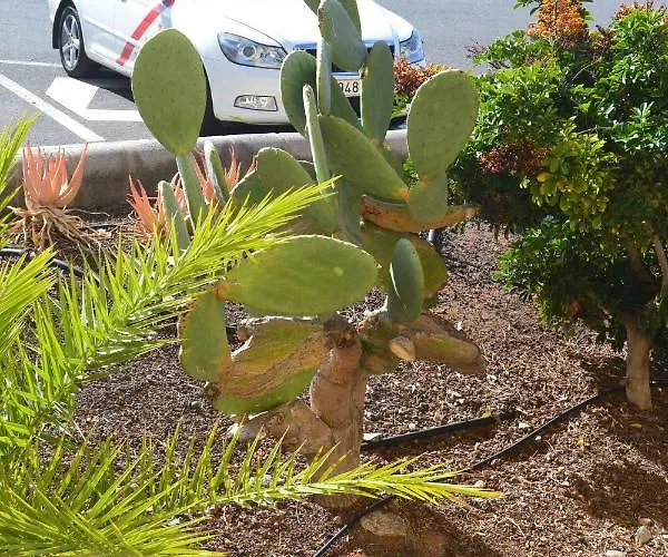 Fano's House - En Vivienda Particular Rum i privatbostad